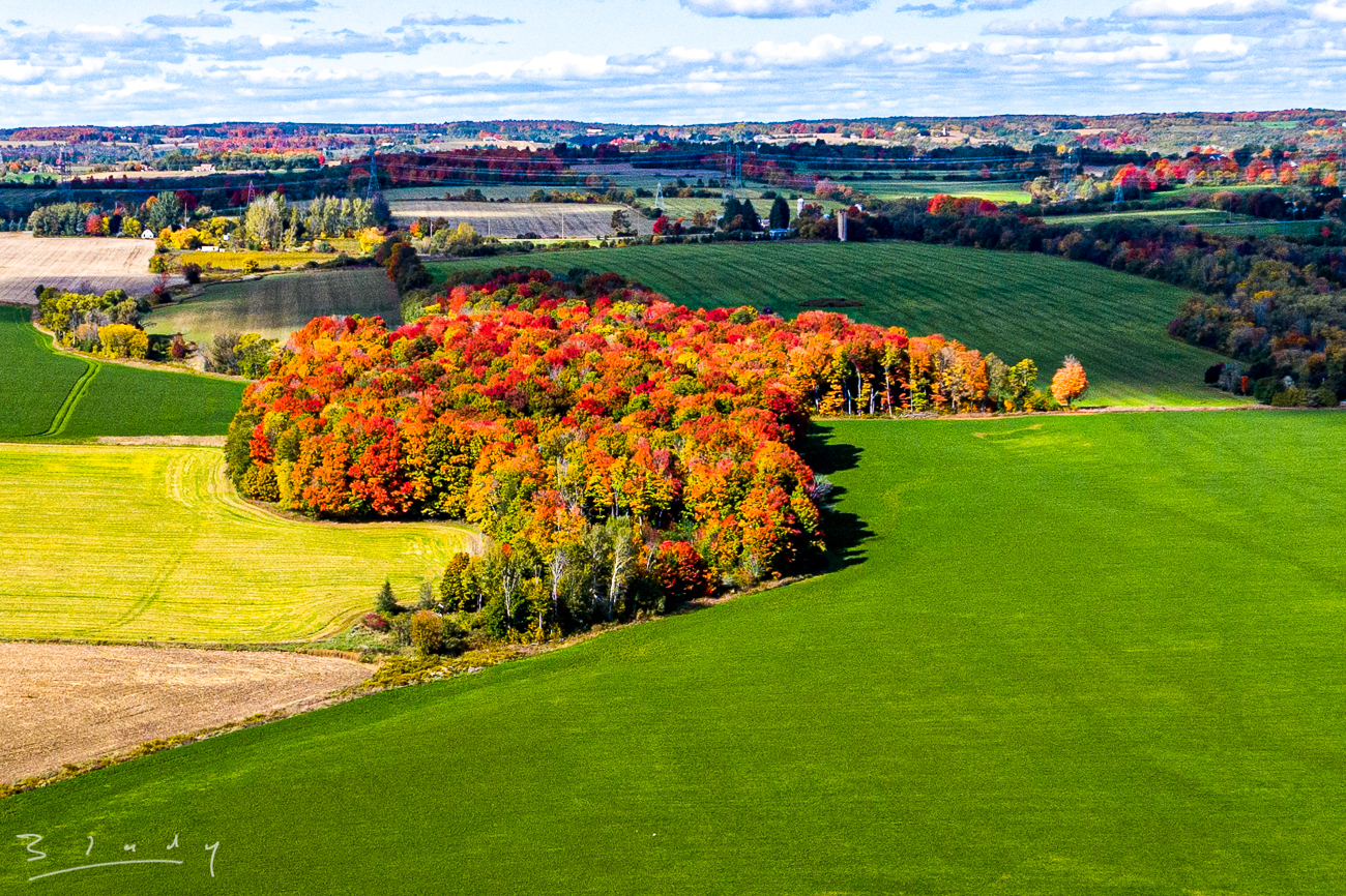 Durham arial Fall colours 20201005-30.jpg